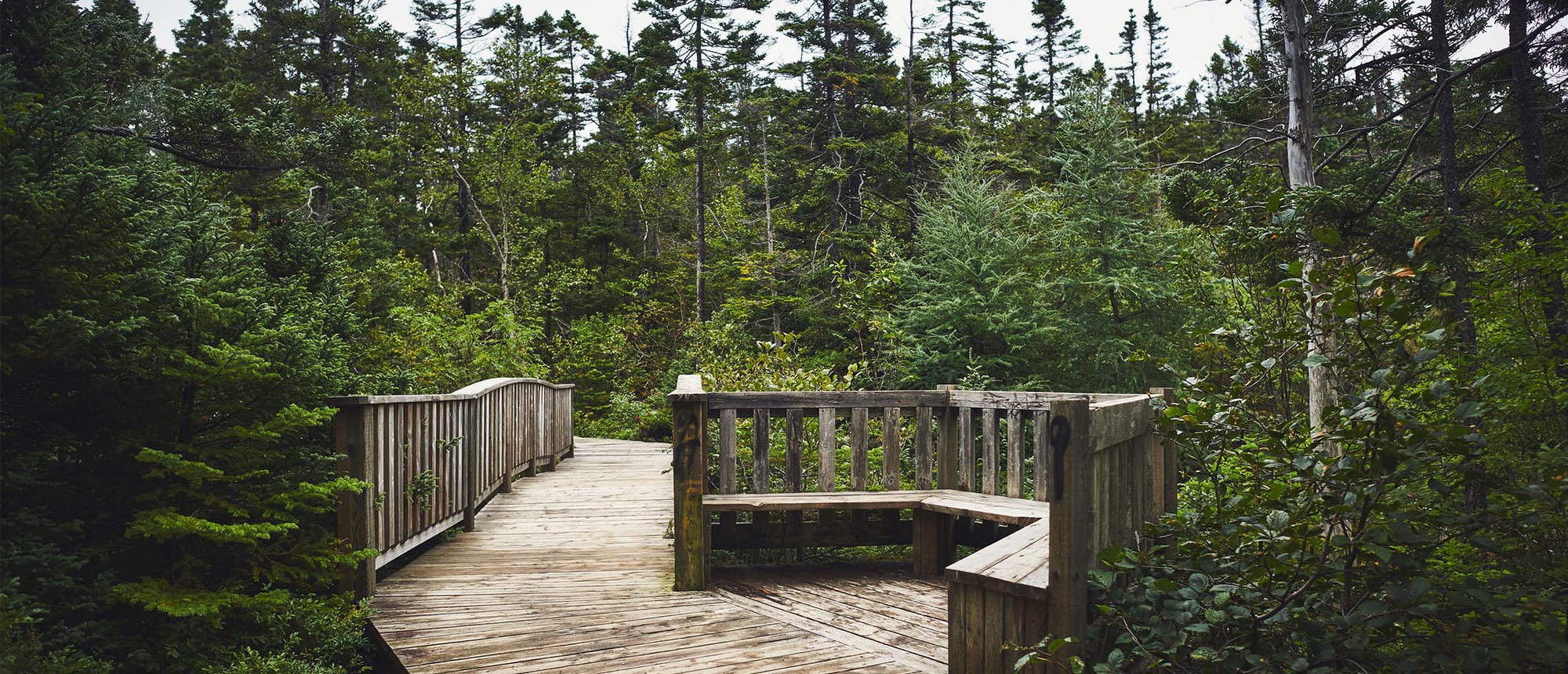 Enhancing Manuels River Trail Networks