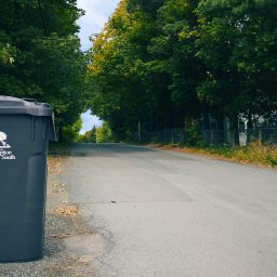 BULK WASTE DROP-OFF DATES