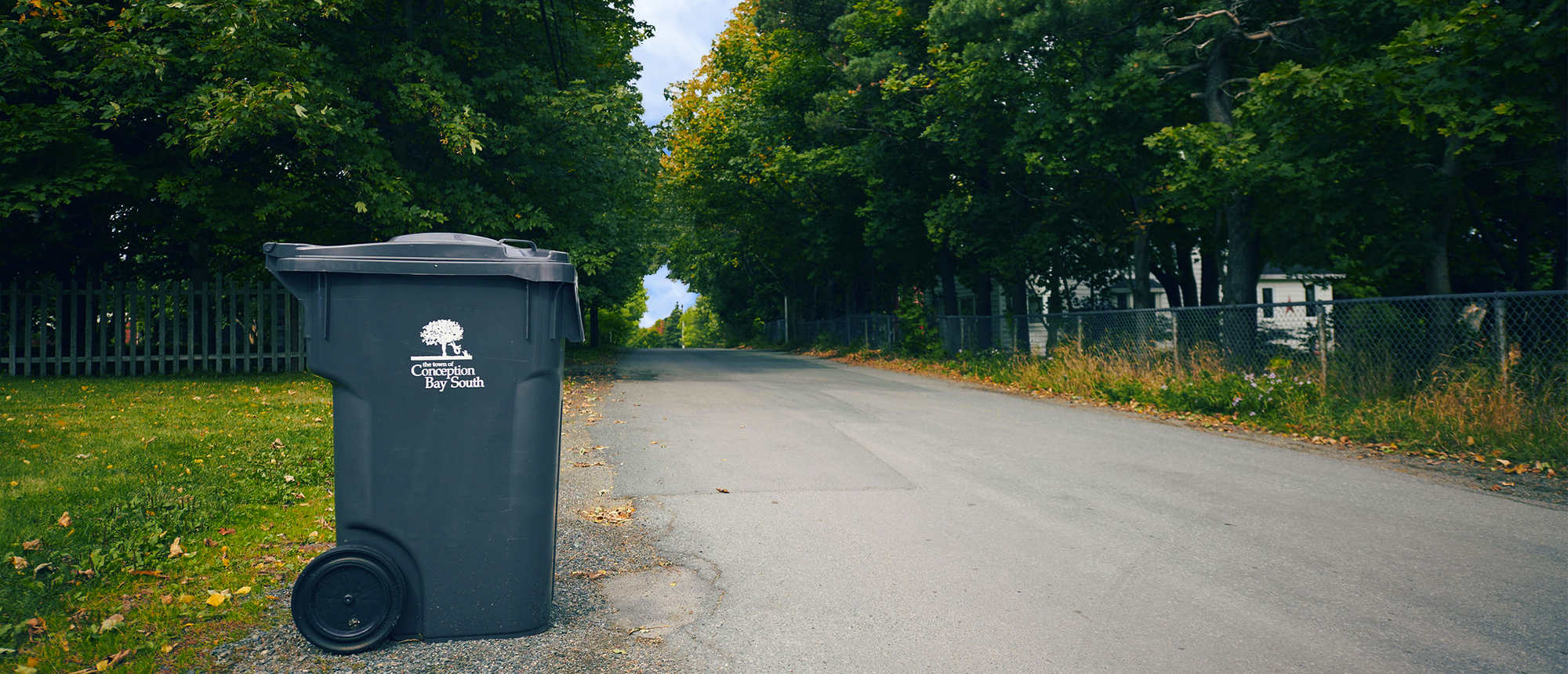 Garbage Container Collection