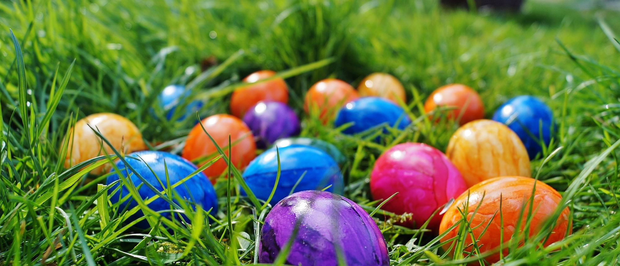 Easter Day Camp Registration