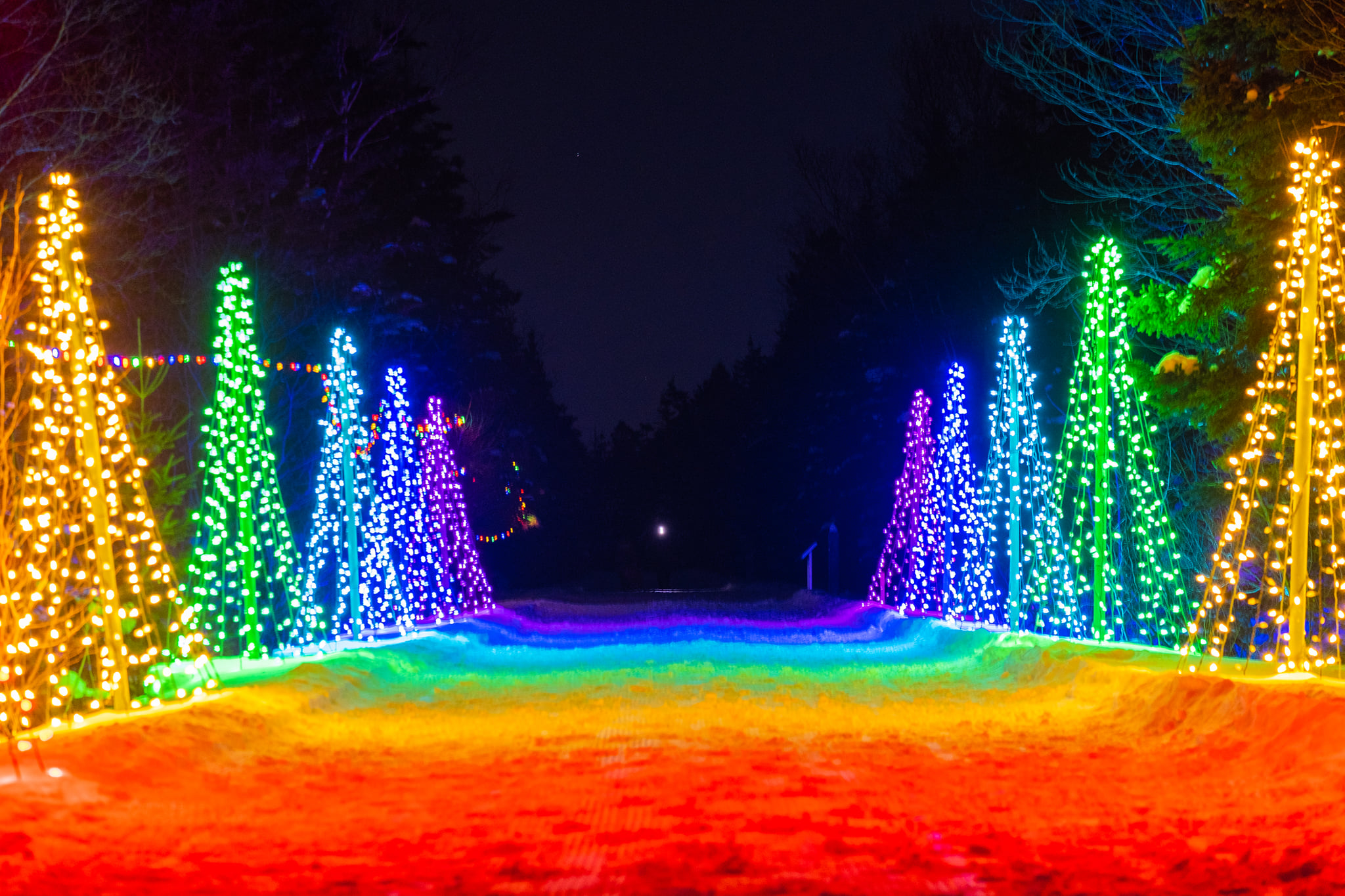 Light Walk
