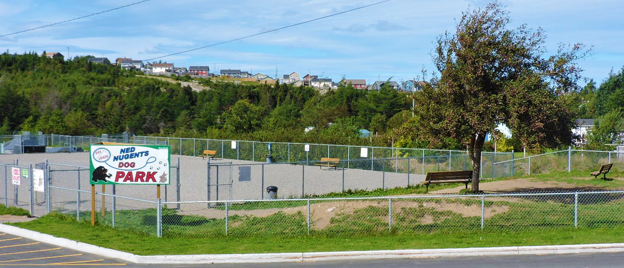 Dog Park