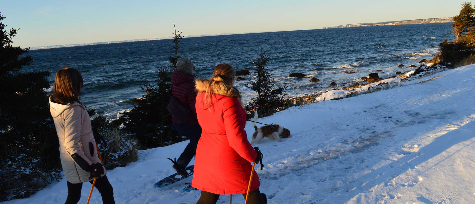 Conception Bay South Offers Top Trail Destination