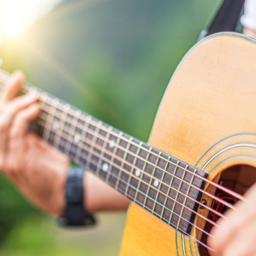 Concert in the Park
