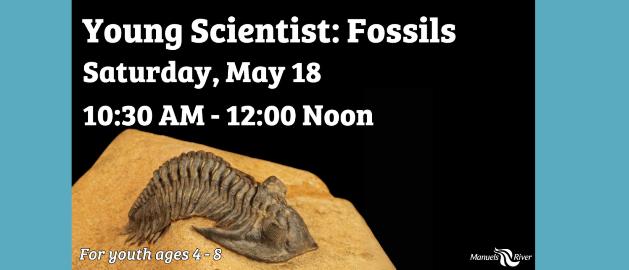 Spring Sessions: Fossils