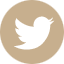 Icon for Twitter