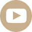 Icon for YouTube