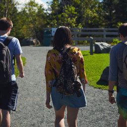 Summer Student Jobs