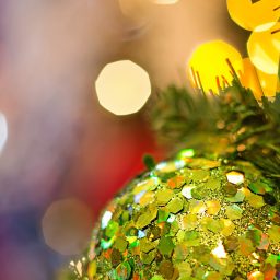Christmas Seniors Social
