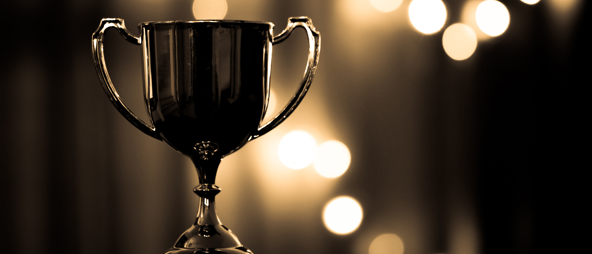 Recognizing our Award-winning Volunteers