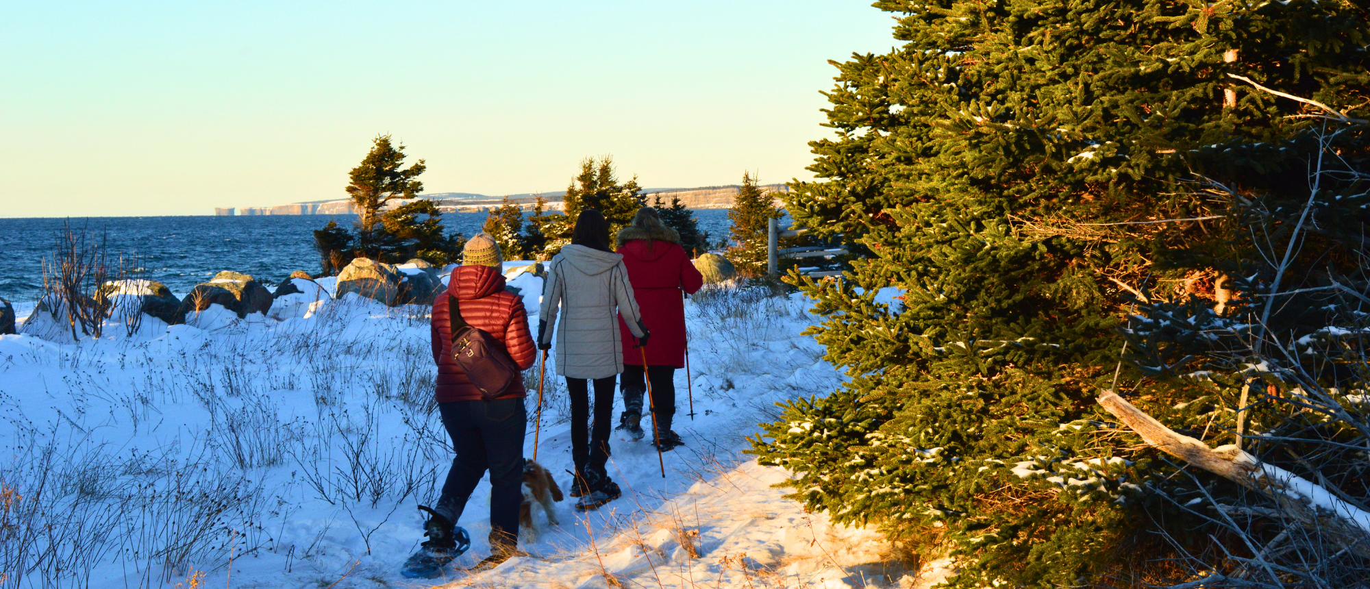 CANCELLED: Walking For Wellness January 29