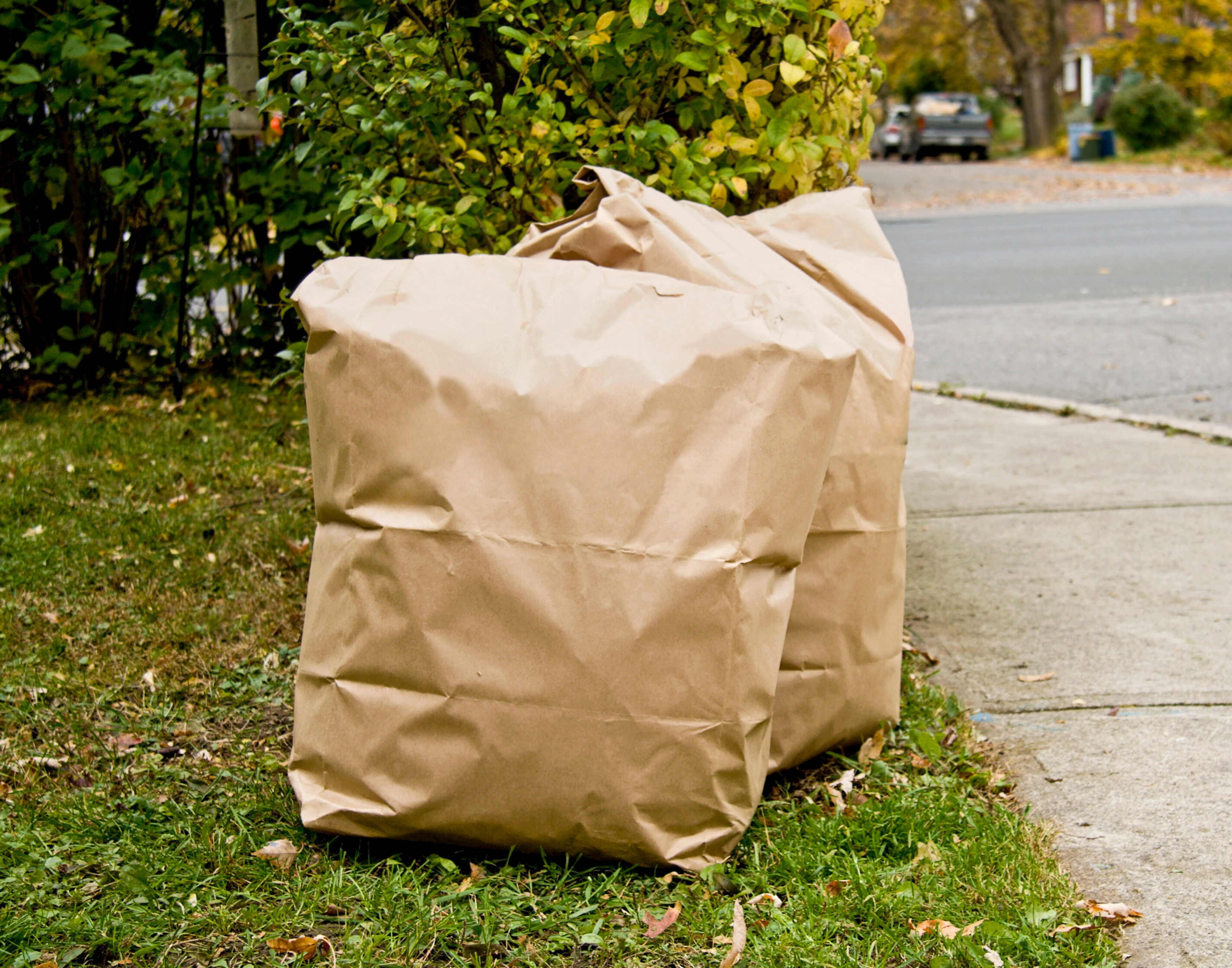 Yard Waste Compost Program